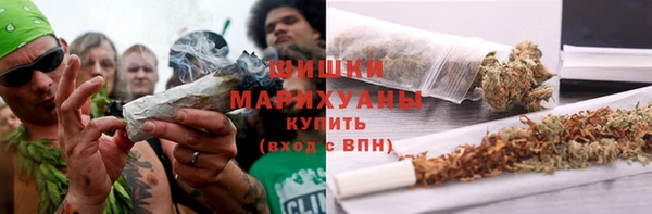 амф Аркадак