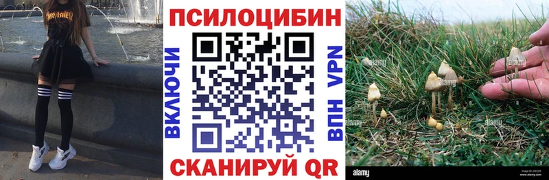 hydra как зайти  Пыталово  Галлюциногенные грибы MAGIC MUSHROOMS 